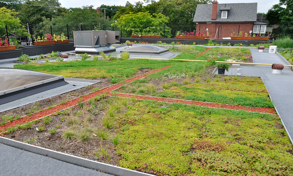 green roof benefits 